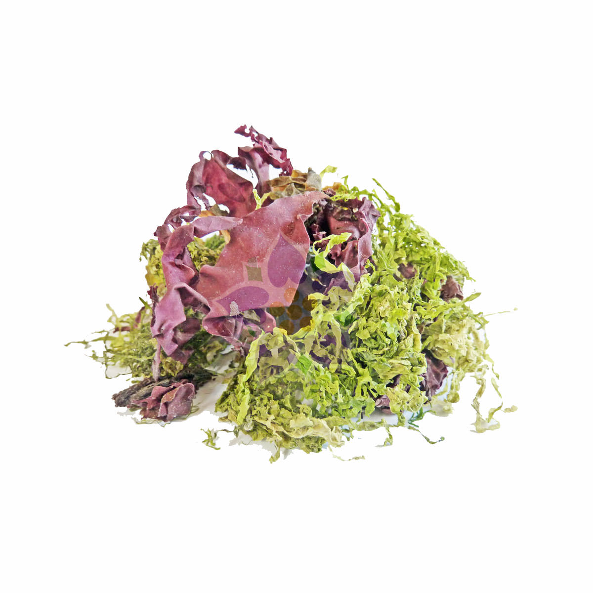 158041a Algues pour la salade (Mélange de 5 légumes de mer) Bio