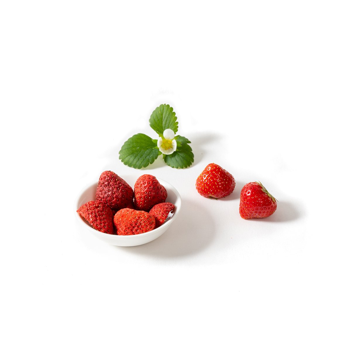 Erdbeeren gefriergetrocknet Bio