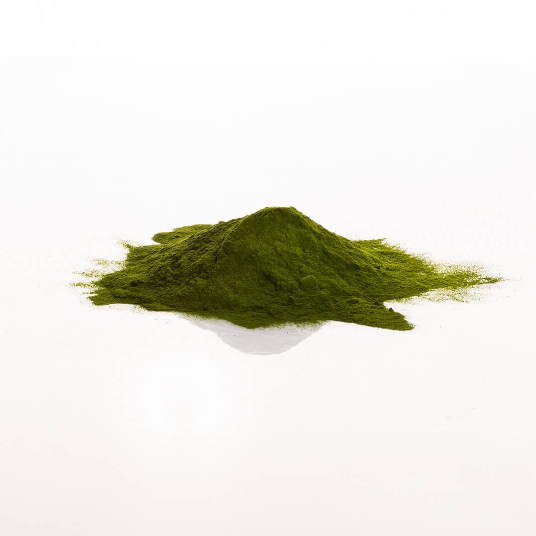 Gerstengrassaft-Pulver-BioP5UgWn3wVxrIp Jus d'orge en poudre Bio