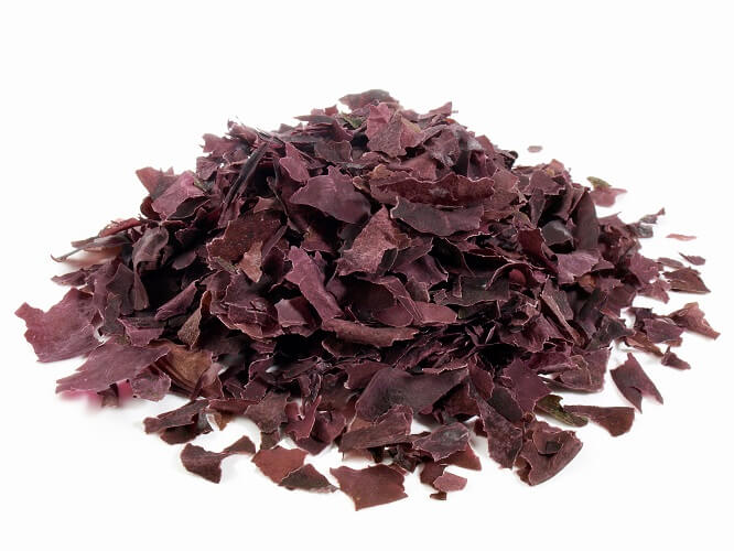 Dulse-Algen-Flocken-Bio