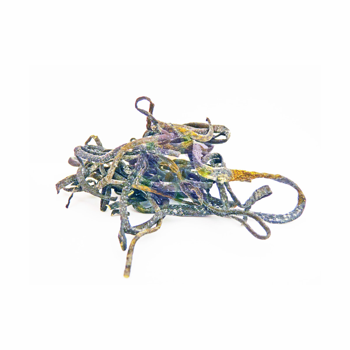 158031a Bio Meeres-Spaghetti (Riementang)