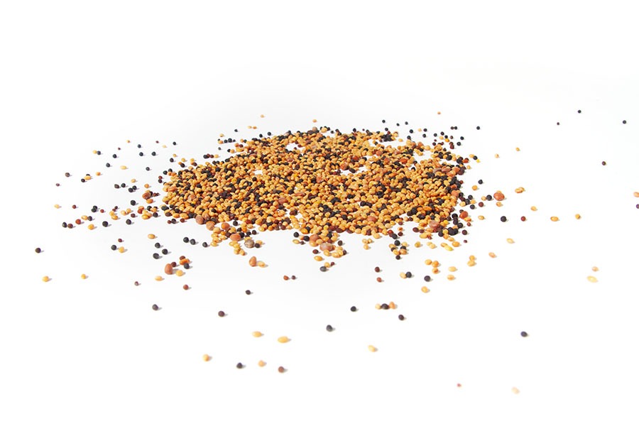 Sprossit-Mix-Sprossen-Keimsaat-Bio Sprossit-Mix Sprossen Keimsaat Bio
