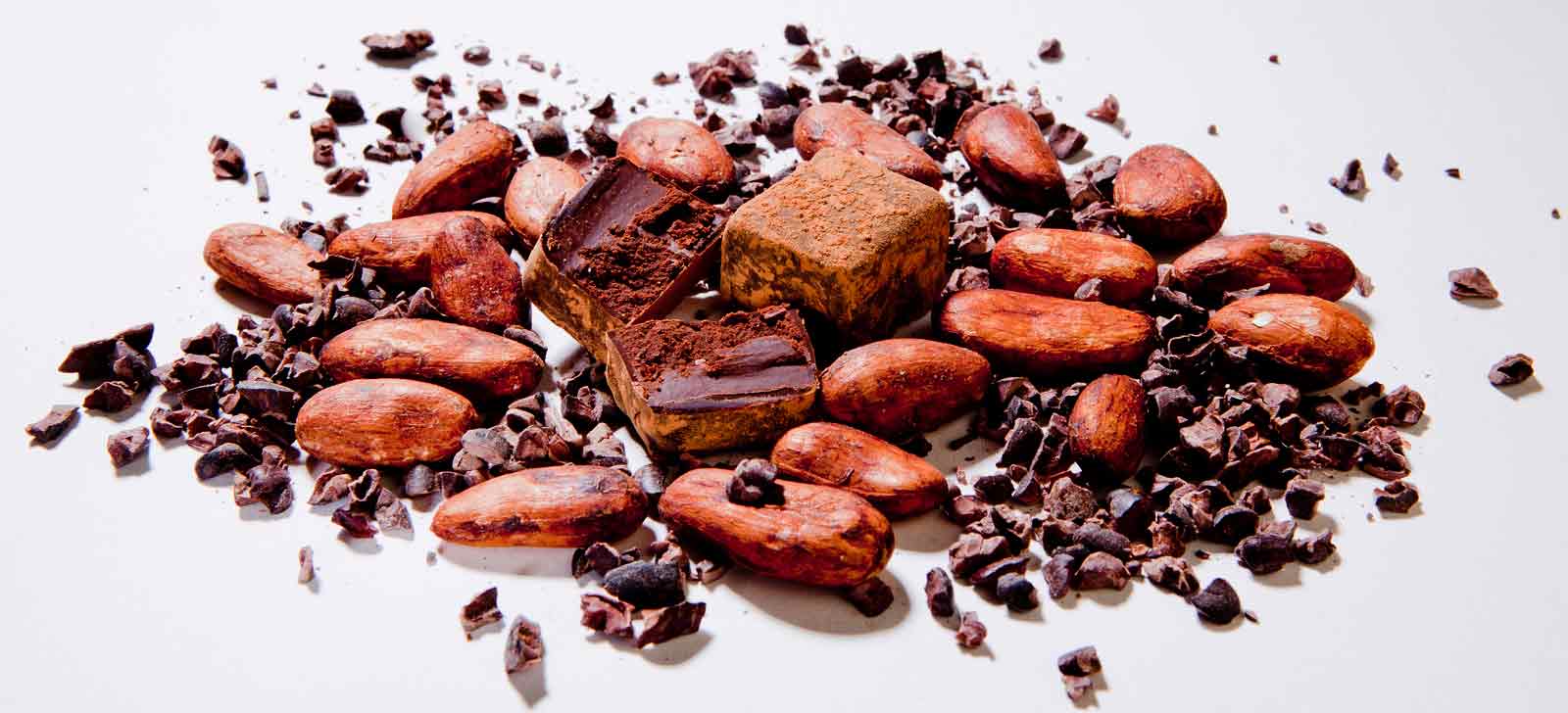 Beurre de cacao criollo cru bio équitable 5kg - Nutri Naturel