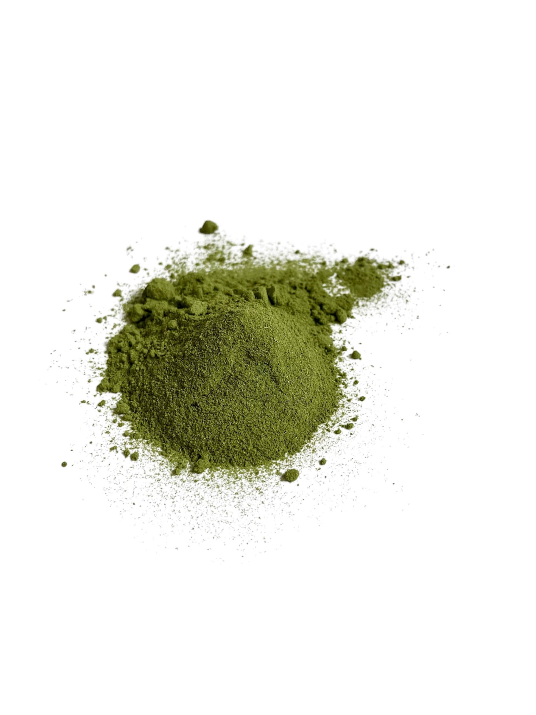 Moringa Pulver Bio